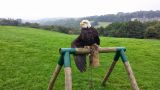 Eagles