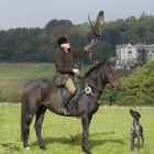 Falconry from horses, 2 people 